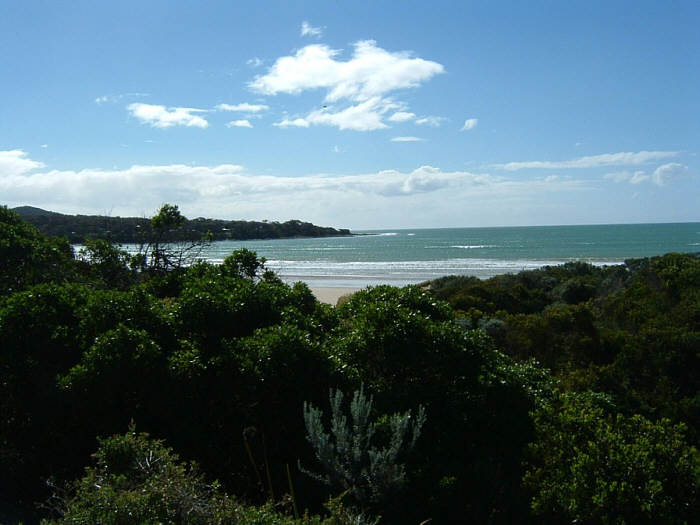 11 Tasmania.jpg